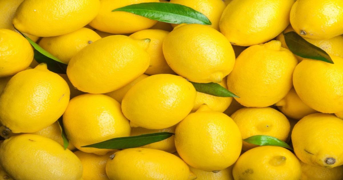 Lemon Prices in Uttar Pradesh
